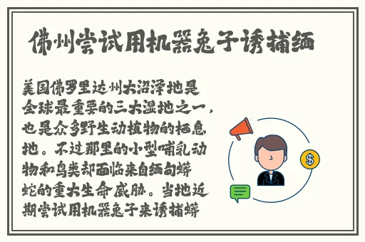 欧美激情BBB